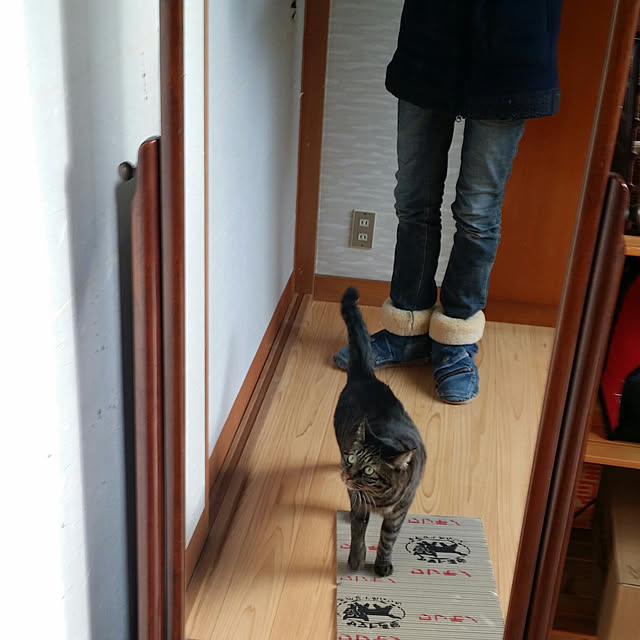 Mayumi8888さんの実例写真