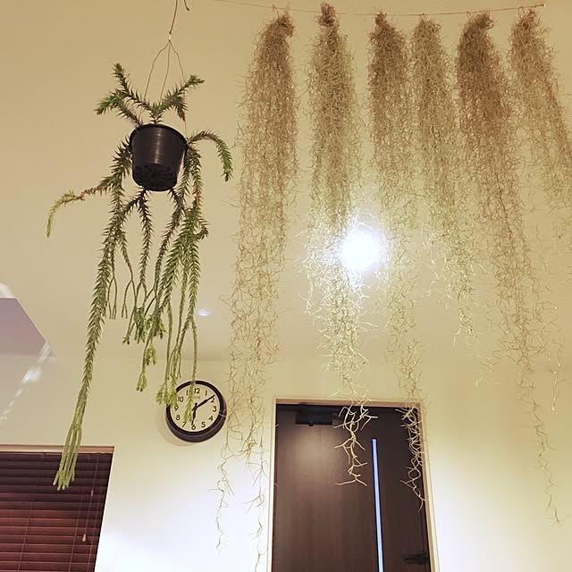 KXYXTさんの実例写真