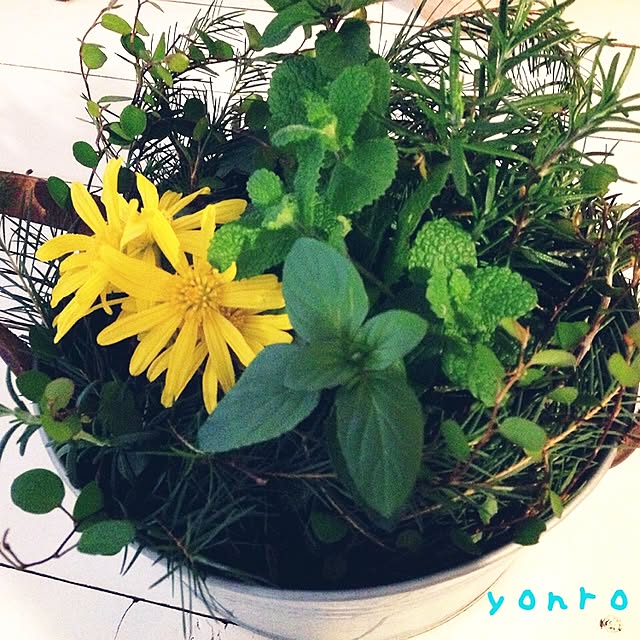 yonrokuさんの実例写真