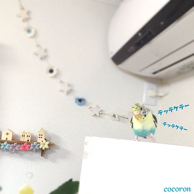 cocoronさんの実例写真