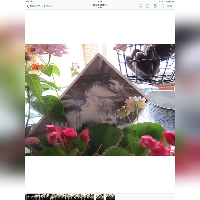 MEMO.2017.REALさんの実例写真