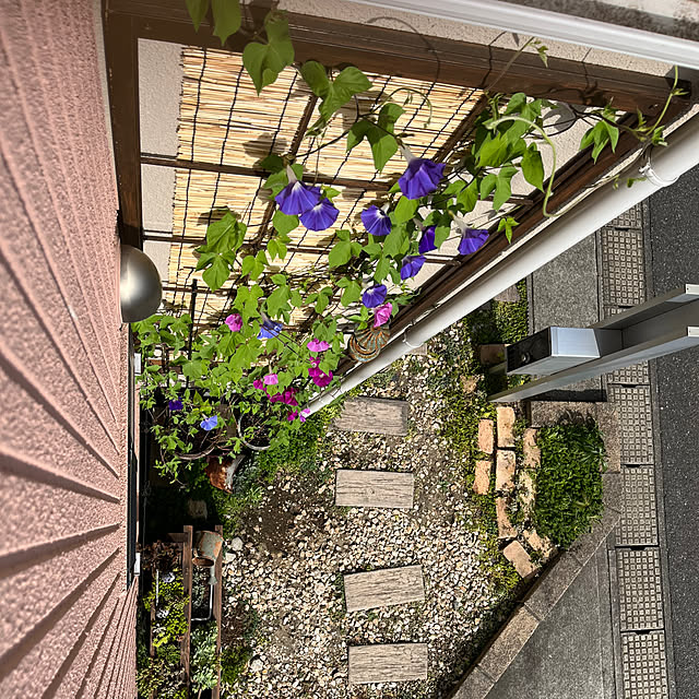 pekoさんの実例写真