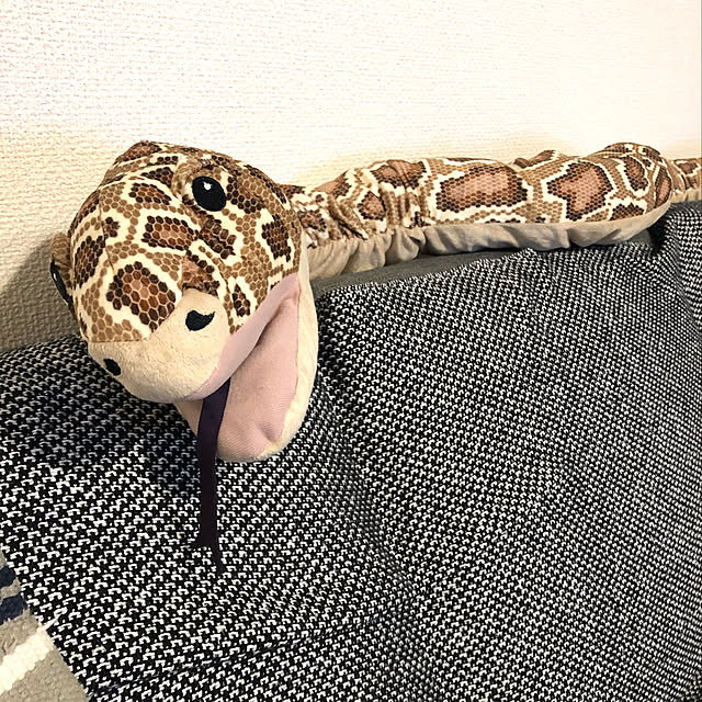 erikaさんの実例写真