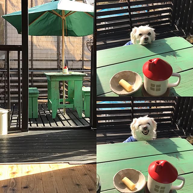 Mackyさんの実例写真