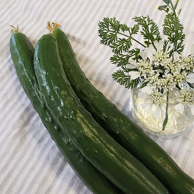 ramuramuさんの実例写真