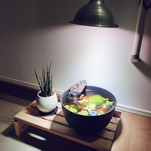yamさんの実例写真