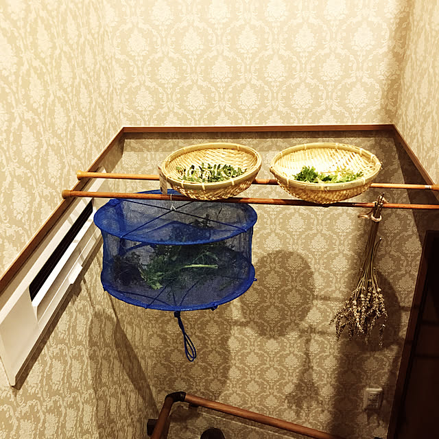 nonさんの実例写真