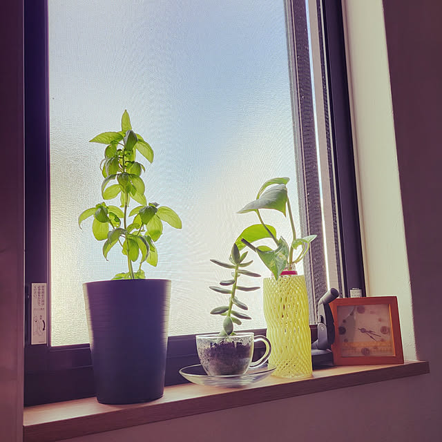 natuさんの実例写真