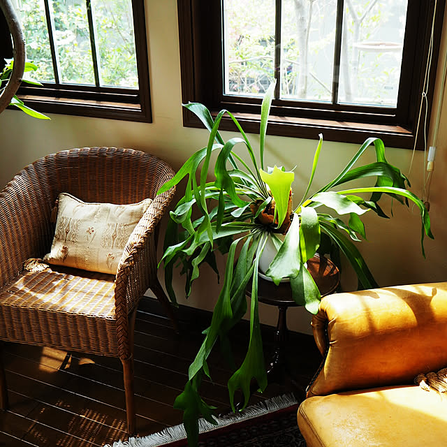 cozyhome_naokoさんの実例写真