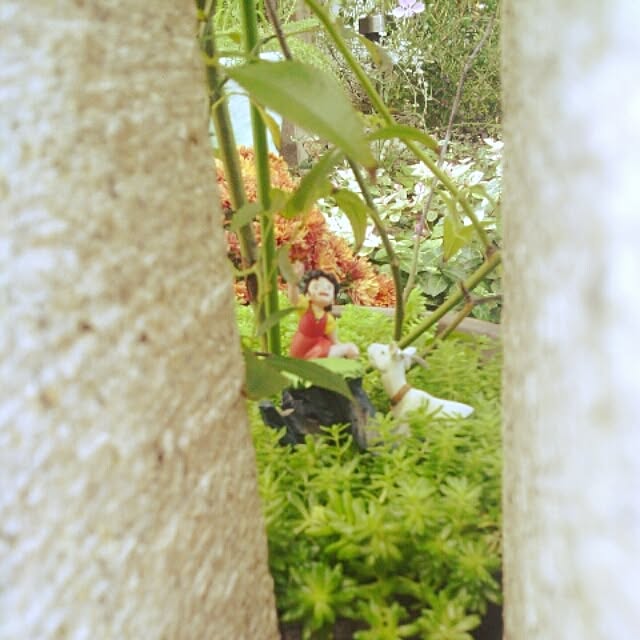 akr29さんの実例写真