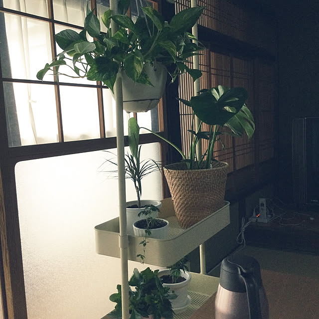 conatuさんの実例写真