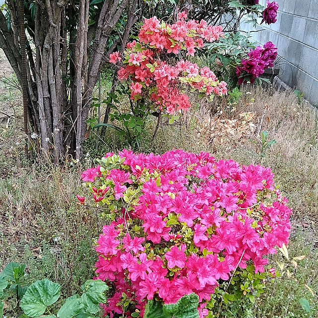hiroさんの実例写真