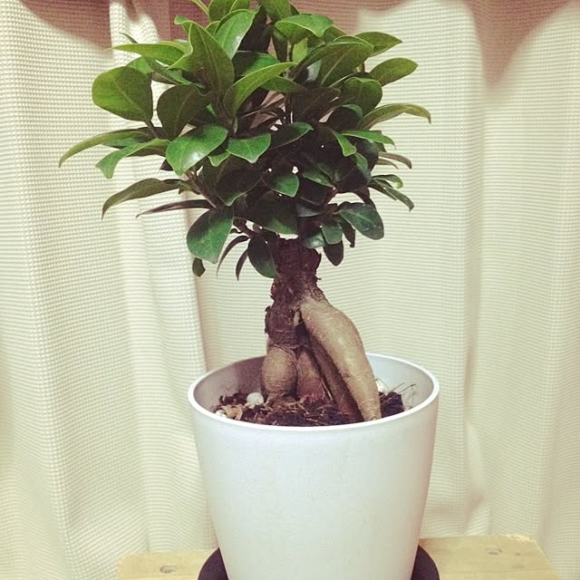 AZULさんの実例写真
