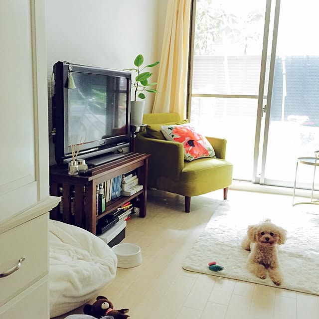 moccoさんの実例写真
