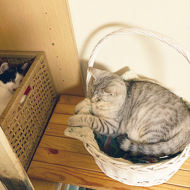 anonさんの実例写真