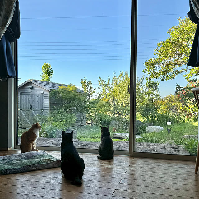 akaneさんの実例写真
