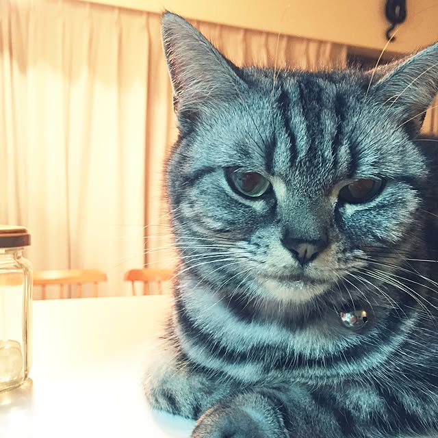hiyupan88さんの実例写真