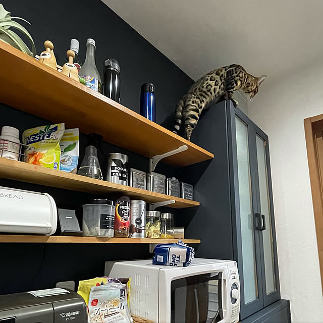 cyanさんの実例写真
