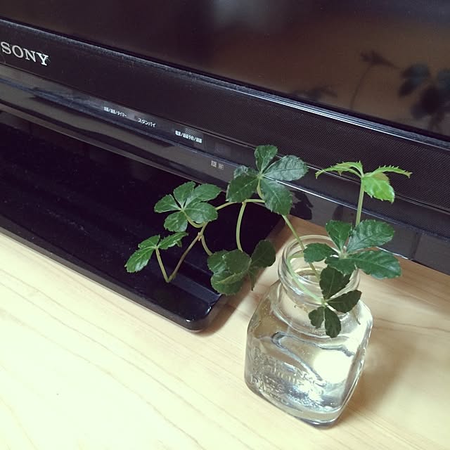 yodamyuさんの実例写真