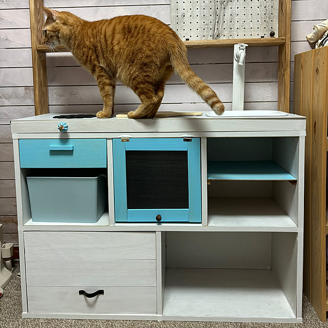 ChiKiさんの部屋