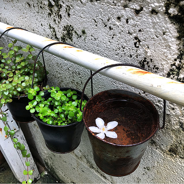 coraruさんの実例写真