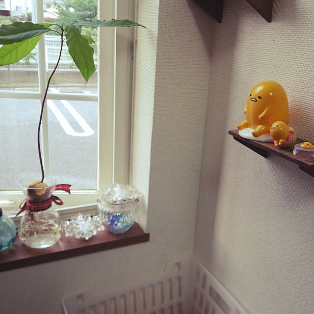 sunflowerさんの実例写真