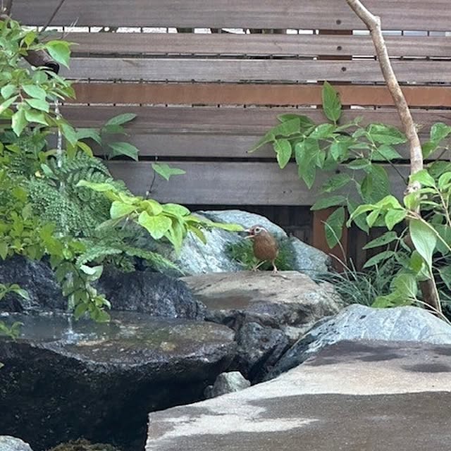 kaoru1219さんの実例写真