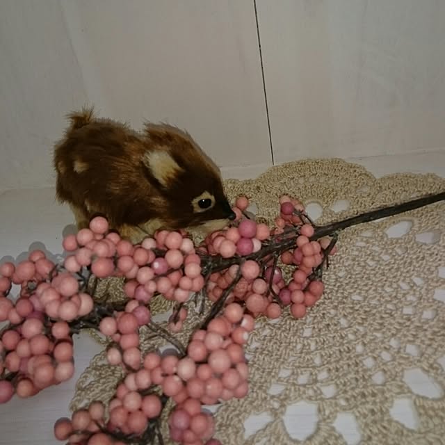 itoppさんの実例写真