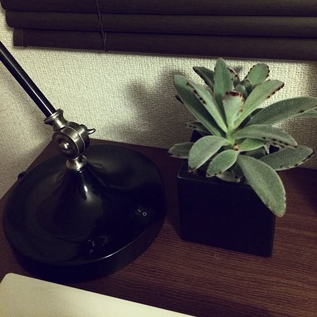 minxxさんの実例写真