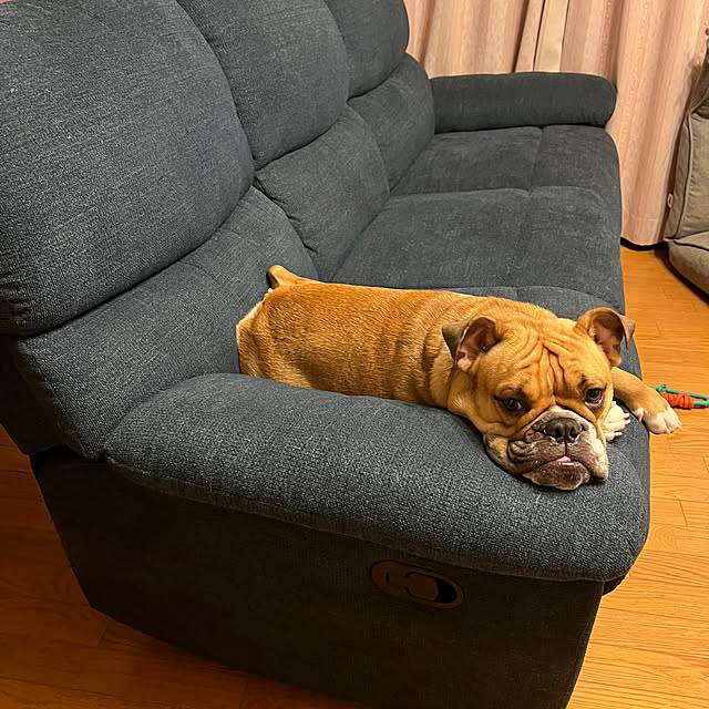 chi_gogaさんの実例写真