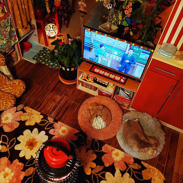 kumutanさんの実例写真