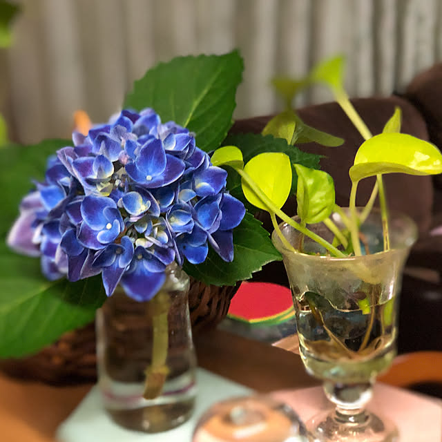 thukuneさんの実例写真