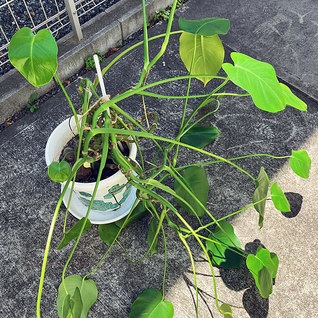 m0917mさんの部屋