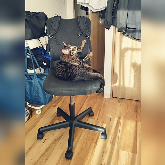 hihaさんの実例写真