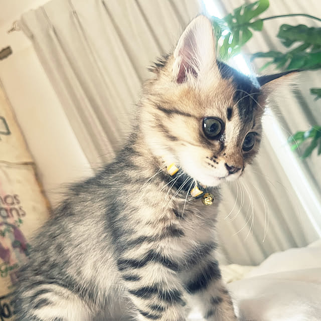 Mさんの実例写真