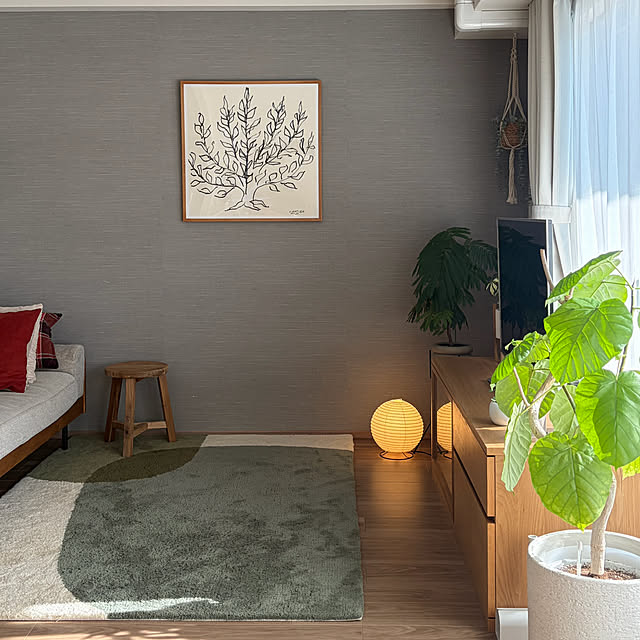 Anthuriumさんの部屋