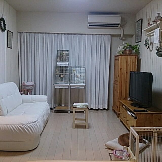 実例写真