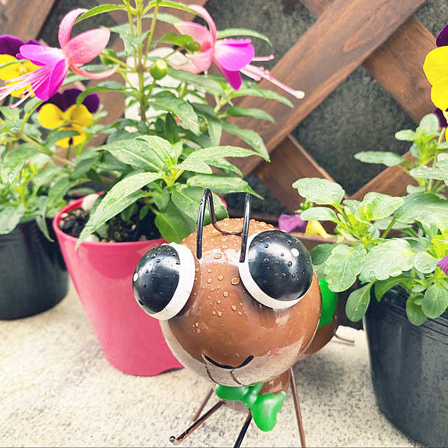 lillyさんの実例写真