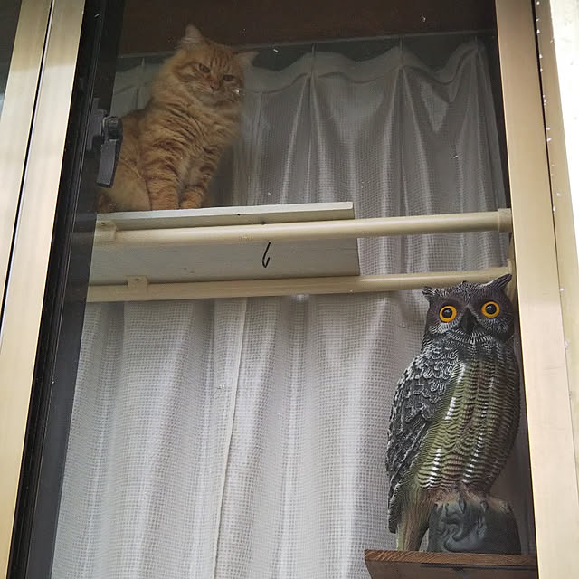 gabさんの実例写真