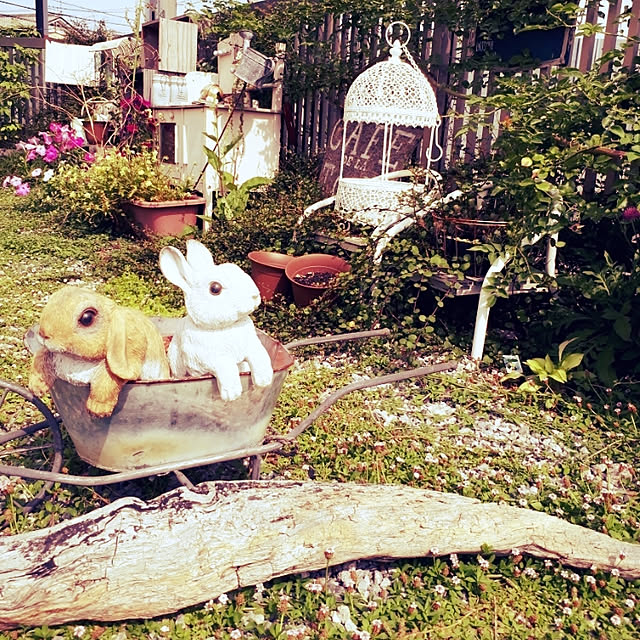 shushさんの実例写真