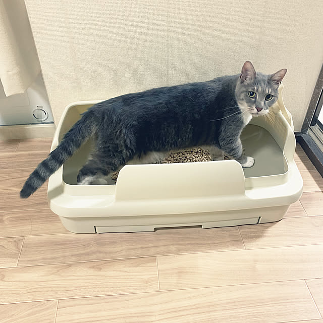 Rabbitさんの実例写真