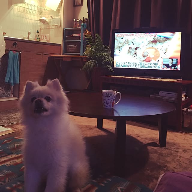 sacchiさんの実例写真