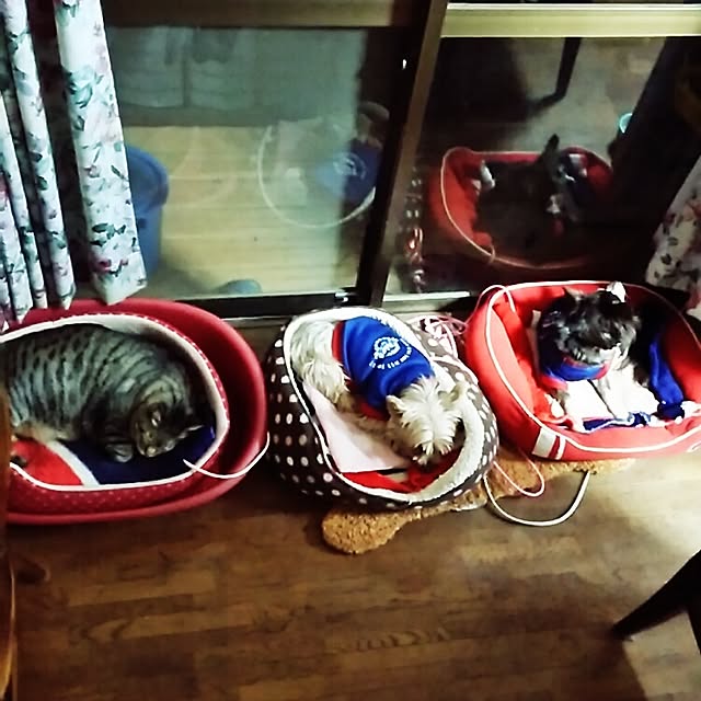 mcomcoさんの実例写真