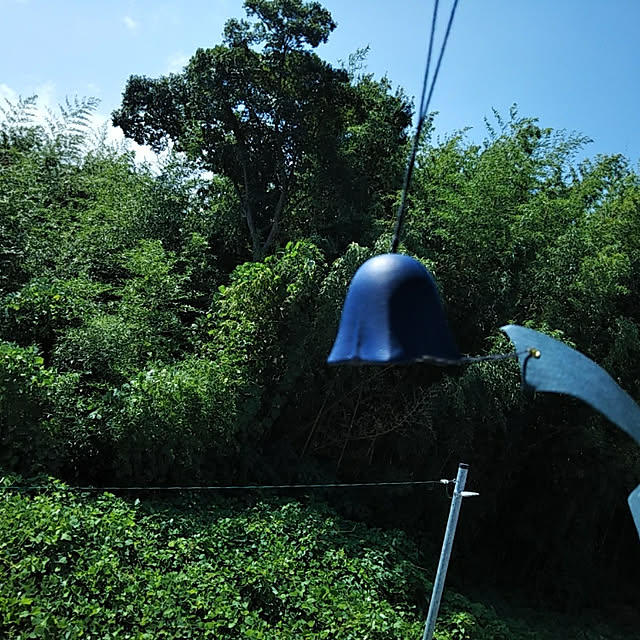 Aogasukiさんの実例写真
