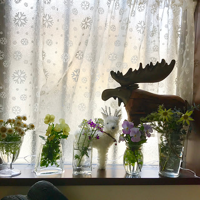 skip529さんの実例写真