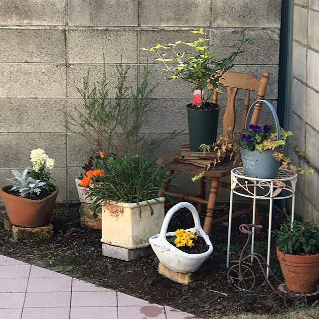 marikoさんの実例写真