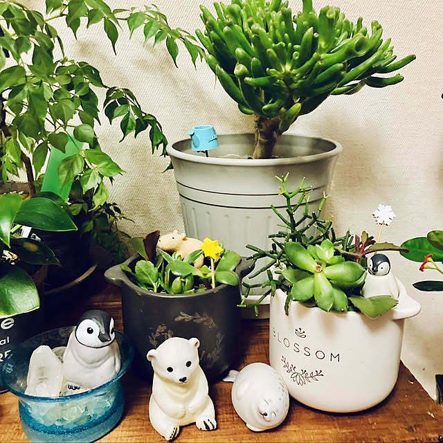 CoCo0617さんの実例写真