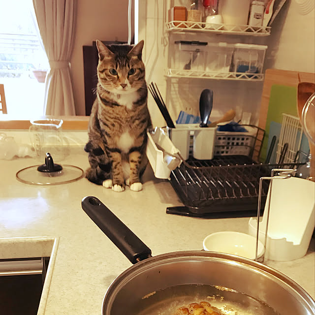 suemonta14さんの実例写真
