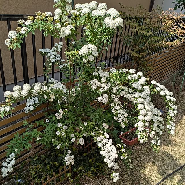 mofukoさんの部屋