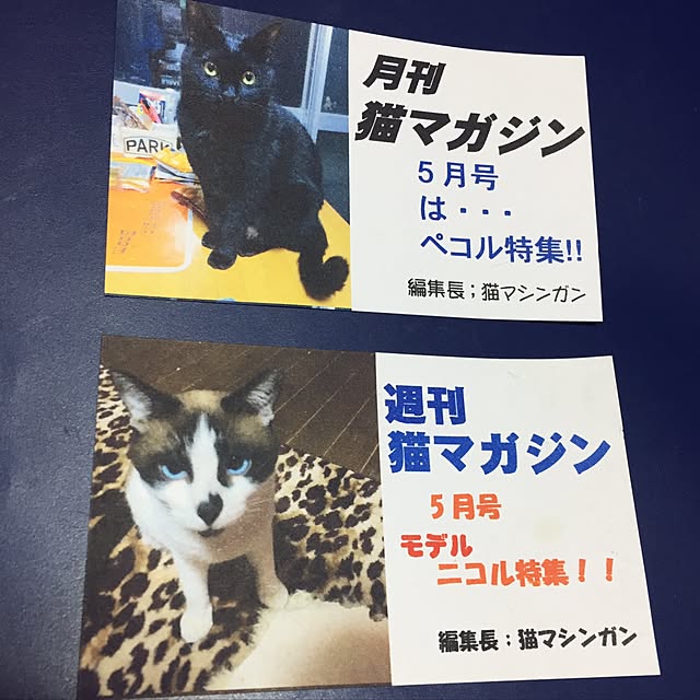 vivienne.coco-keiさんの実例写真